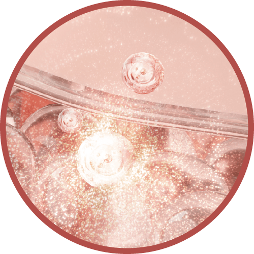 即時補充流失的膠原蛋白