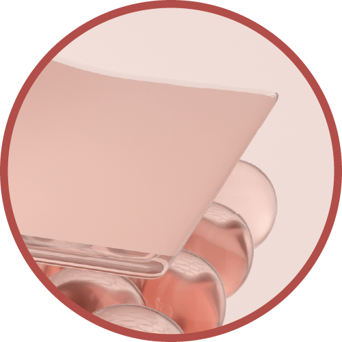 肌膚重現飽滿彈潤 